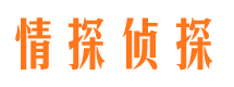 城区市婚姻调查